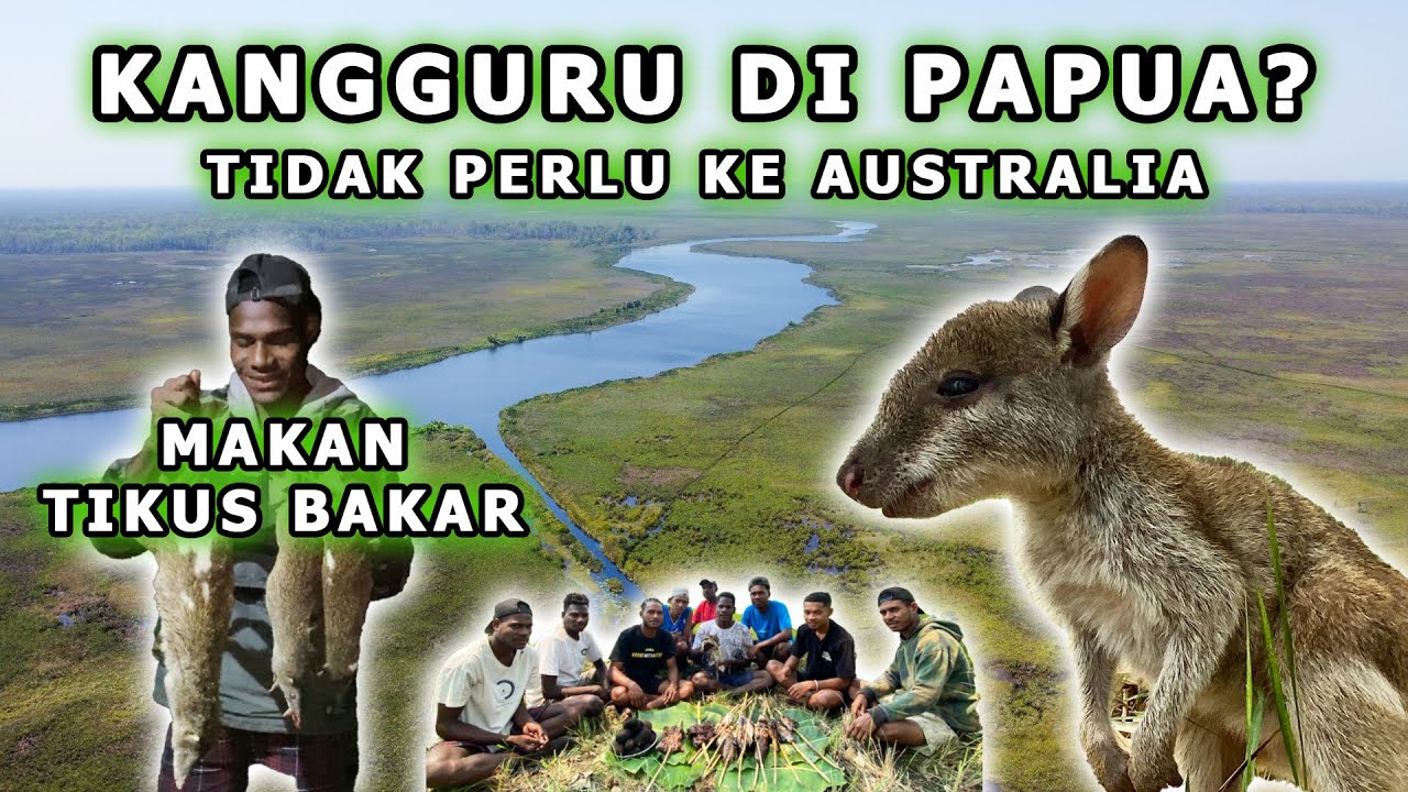 MAKAN TIKUS BAKAR & BERTEMU KANGGURU PAPUA DI MERAUKE ( TAMAN NASIONAL WASUR )