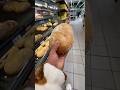 Bread Cutting Tech 🇮🇳🇯🇵 #shorts #bread #video