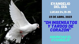 Lecturas de hoy Domingo 3 de Pascua | 23 de Abril 2023 | Lc 24,13-35