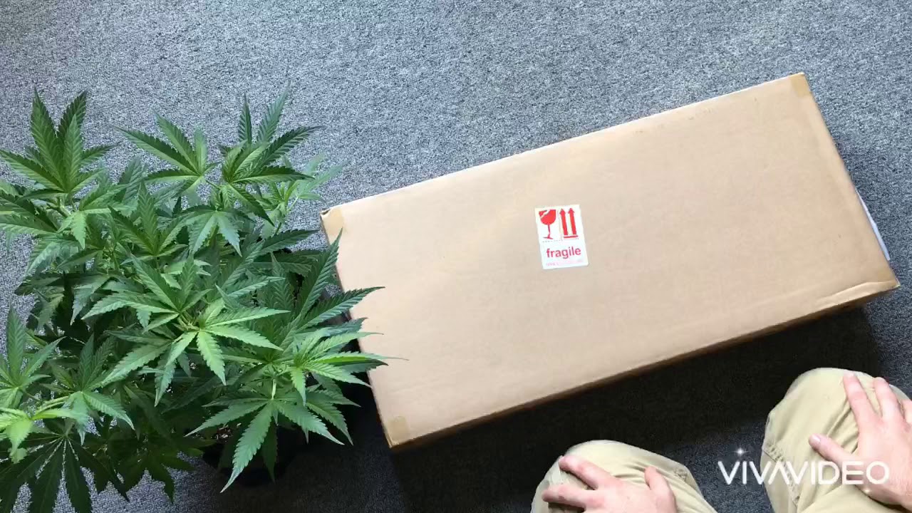 SpiderFarmer SF2000 Review