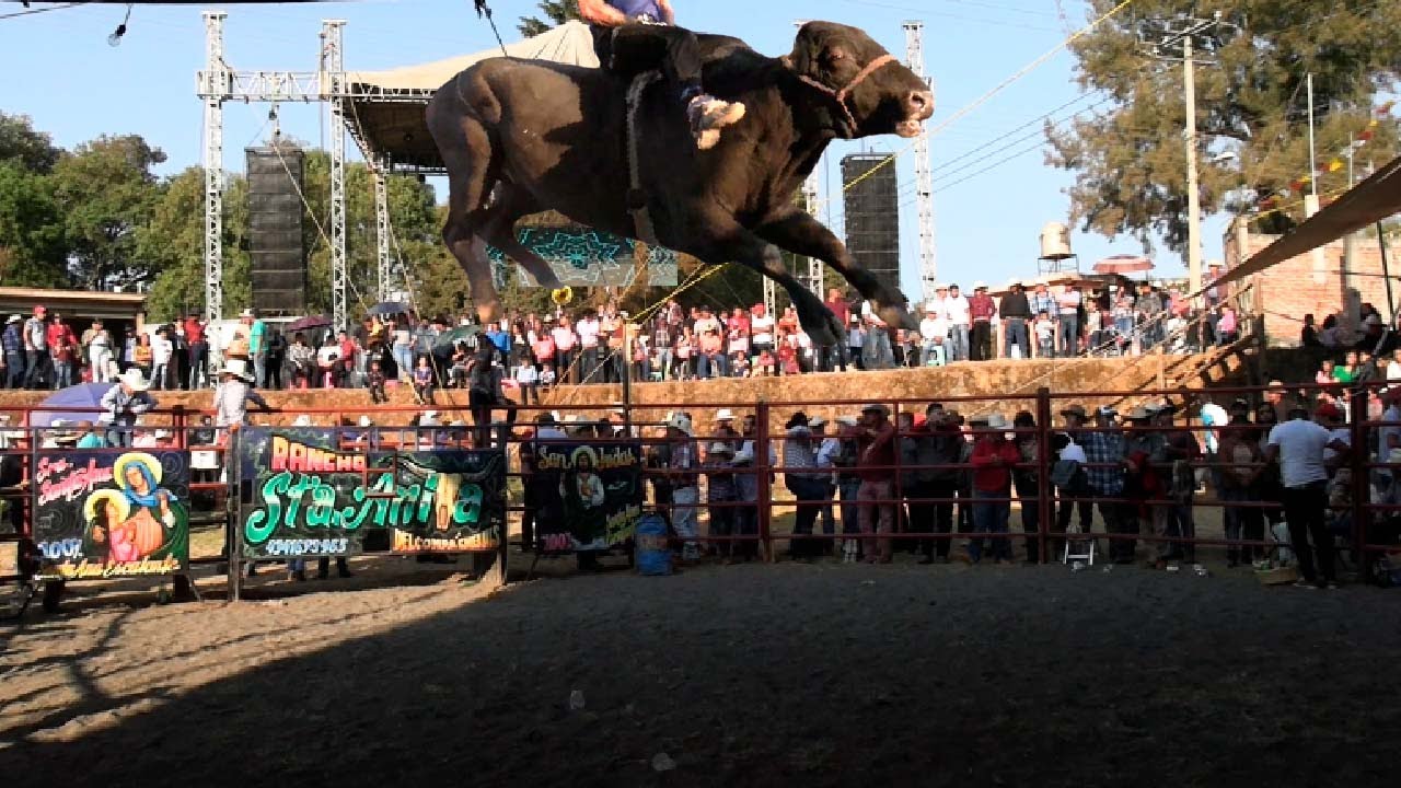 !!PRIMER DÍA DE JARIPEO EN LA TZIZAMBA MICH¡¡05 DE JUNIO 2023 RANCHO