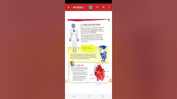 CLASS 4TH, SCIENCE UNIT #1 TOPIC THE HEART TEACHER RUKHSANA AZIZ