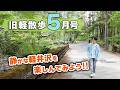 【自然を満喫！】5月中旬の旧軽井沢はどんな様子？地元民がお散歩しながら見どころを解説します！