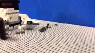 IMG 1744