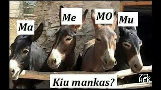(Mal-)bonegaj ŝercoj  – kompilitaj de Alberto Granados – Esperanto