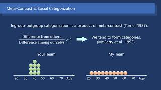 Self Categorization Theory