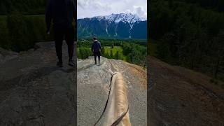 Nature view| Perlino Horse