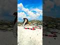 স প র ক র ট ন Shaper Cartoon Video Cartoon Bangla Bangla Cartoon Rupkothar Golpo 