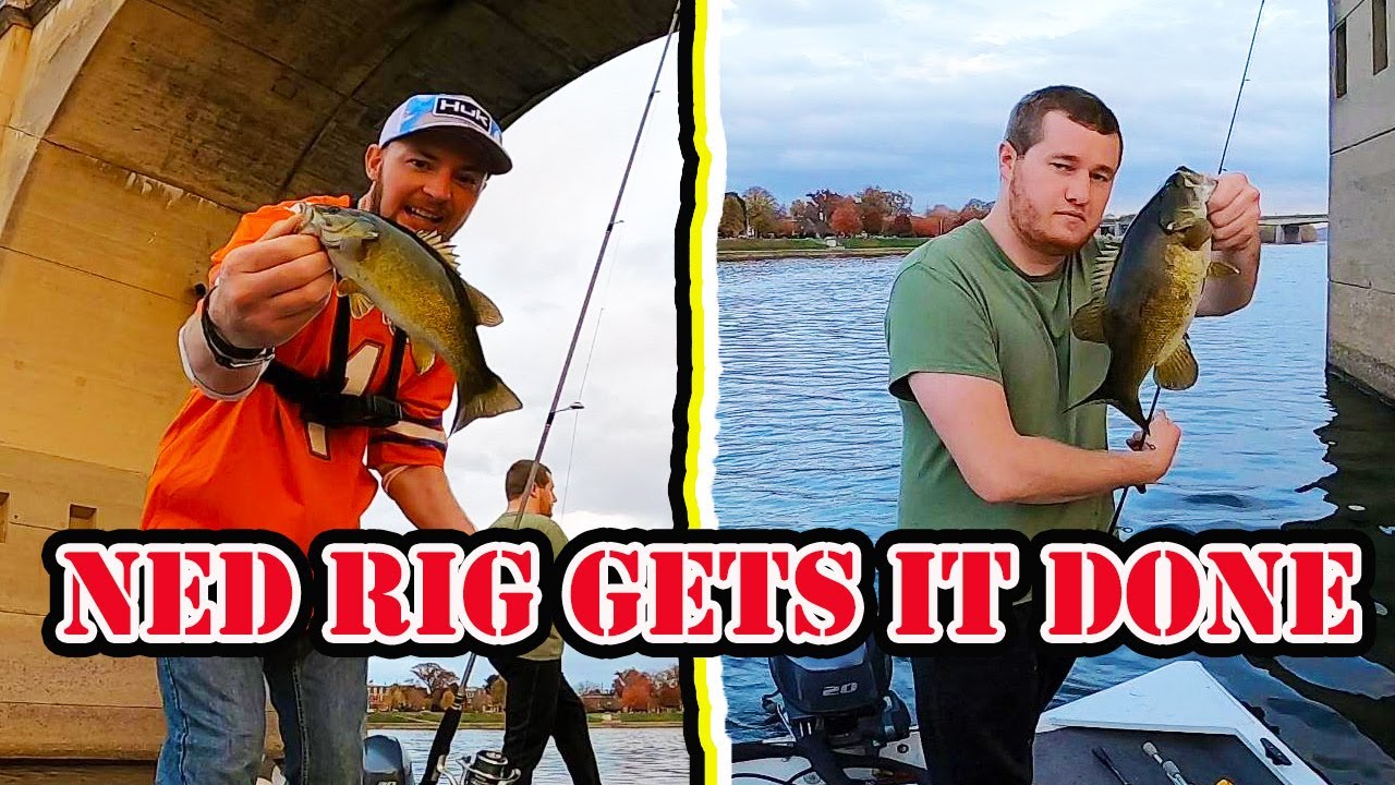 Ned rig fishing for bass! 