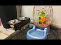 DOG BOWL Fish AQUARIUM! DIY