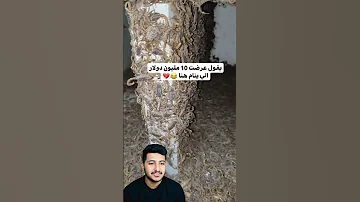 يقول عرضت 10 مليون دولارالي ينام هنا تسوية والله العظيم متكدر Shorts 