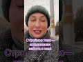 26 ноября 2024 г.