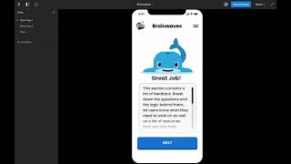 Brainwaves Initial Prototype Walkthrough