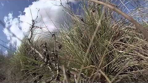 CRASH QAV400 falls down goes boom