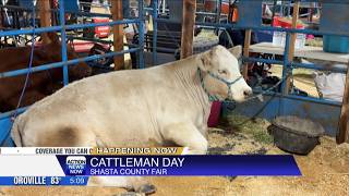 Cattlemen's Day held at the 138th annual Shasta District Fair