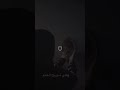 حسين بالفطره عرفته ستوريات حسينيه ستوريات مهدويه ستوريات انستا حالات واتس اب فيدوهات تليكرام