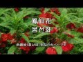 Tokiko Kato - 鳳仙花(봉선화 - 洪蘭坡 )