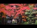 龍潭寺 紅葉（亀岡）京都の庭園　Ryotan-ji Temple The Garden of Kyoto Japan Full HD