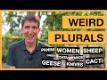 Weird plurals in english men geese sheep knives and many more