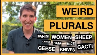 Weird plurals in English: Men, geese, sheep, knives and many more