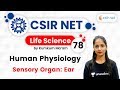 04:00 PM - CSIR UGC NET 2020 | Life Science by Kumkum Gautam | Sensory organ: Ear