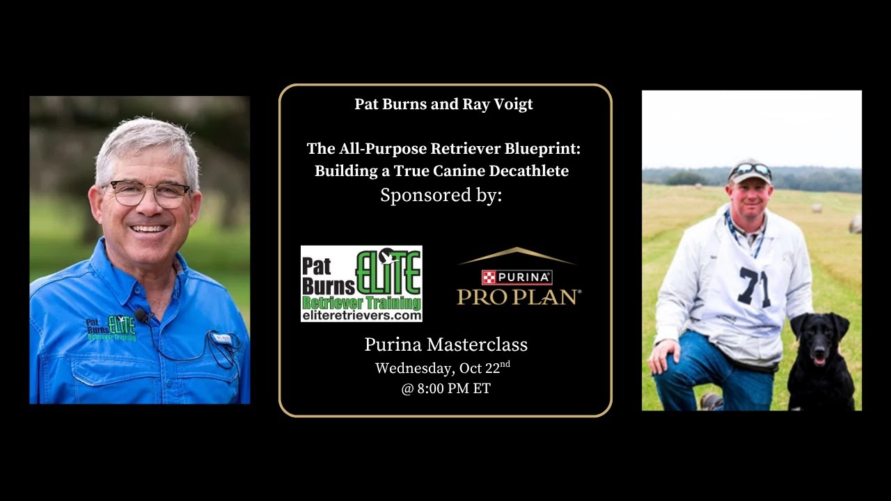 The All-Purpose Retriever Blueprint: Building a True Canine Decathlete