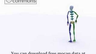 motion capture data walk -Look for-