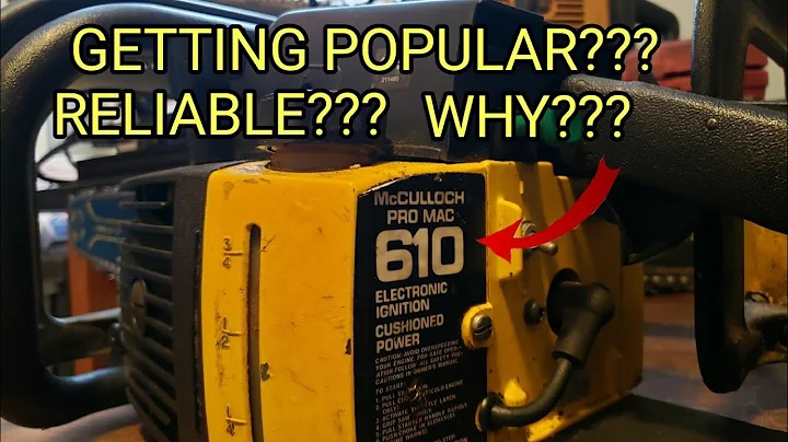 Why is This Saw Gaining Popularity? McCulloch 600 ...