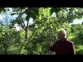 Miracle Farms, a 5-acre commercial permaculture orchard in Southern Quebec, Canada