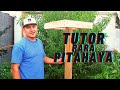 COMO HACER UN TUTOR O SOPORTE PARA PITAHAYA 🌵