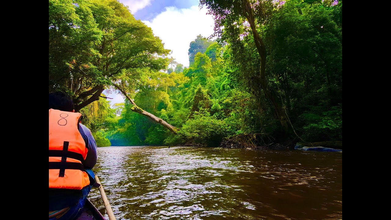 Taman Negara Pahang 2017 - YouTube