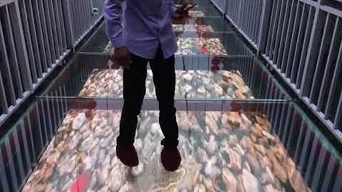 interactive floor screen www.defi-tech.com