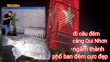 đi câu cá cảng Quy Nhơn ngắm thành phố biển về  đêm cực đẹp