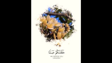 تلاوة خاشعة تريح القلب🧡القارئ #اسلام_صبحي #سورة_المؤمنون مقاطع دينية قصيرة حالات واتساب 🤲🏻