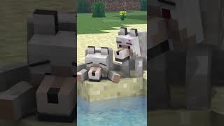 Wolf girl saves wolf boy - Minecraft Animation #shorts