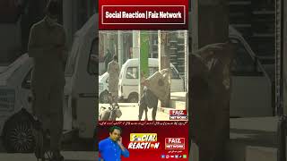 Prank Gone Wrong Social Reaction Faiz Network #amazing #trending #shortvideo #funnyvideos #meme