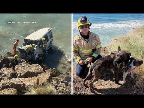 Firefighters rescue dog trapped inside van after crash into shore off PCH near Malibu