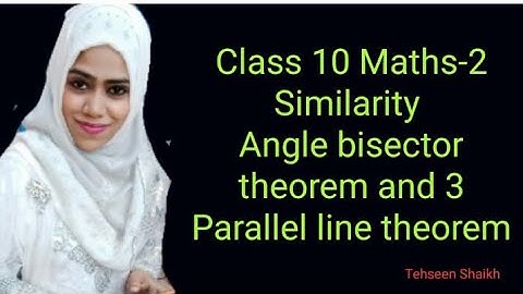 Class 10 Maths II Similarity Angle Bisector Theorem and 3 parallel line theorem
