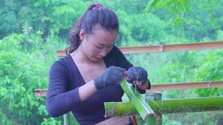 360 Days Solo Bushcraft &amp; Camping in the Rainforest | Built the first bamboo house