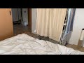初めてケージに入ってた瞬間をとらえました