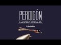 Perdign  fly tying instructions by fly dreamers