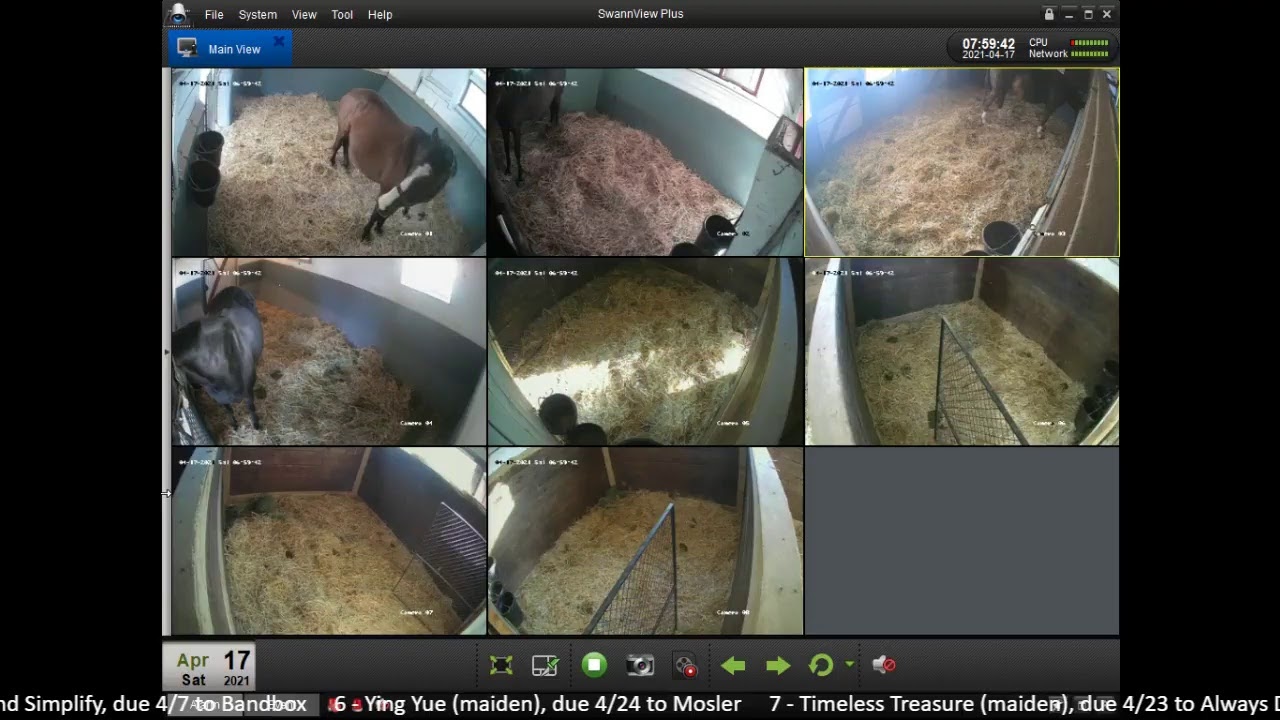 Country Life Foaling Cameras