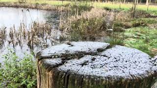 Google Pixel 10 Pro Fold Camera-Test Video-Sample