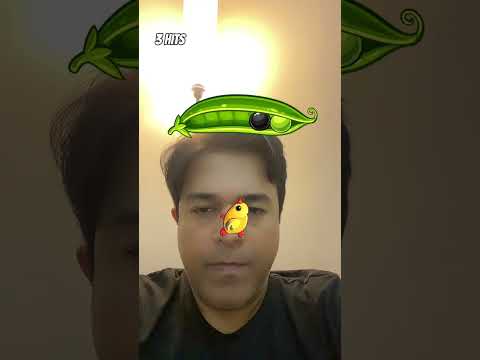 Filterchallenge Funfilter Trendingfilter 