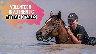 A Week In The Life Of Equestrian Volunteers at Antelope Park, Zimbabwe
