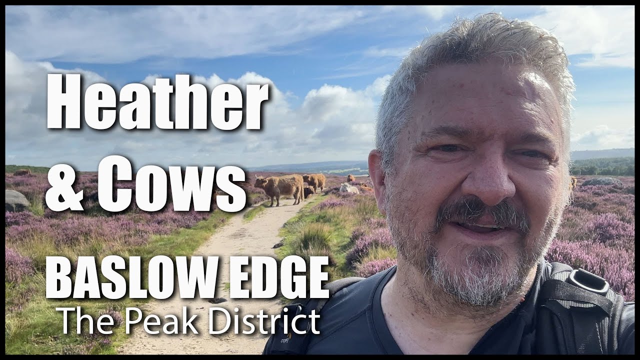 Wonderful Heather And Friendly Cows On Baslow Edge YouTube wonderful-heather-and-friendly-cows-on-baslow-edge-youtube