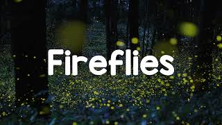 Fireflies - Owl City | Cover By Dave Winkler | Music Lyric