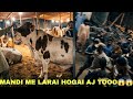 Mandi me larai hogai🫨 Mandi me sody bhi ho rahy hein ab