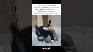 Hathapayi Pe Utar Gyi memes funny popular tweetreels funnyshorts timelapse gf fight gussa