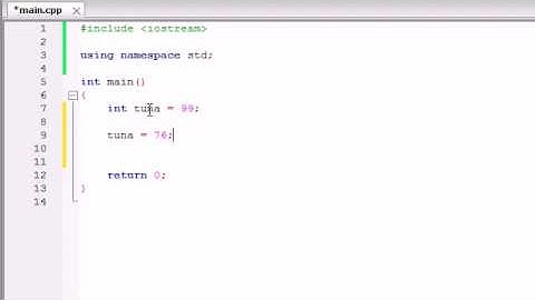 Buckys C++ Programming Tutorials -- 6 -- Variables Memory Concepts.flv